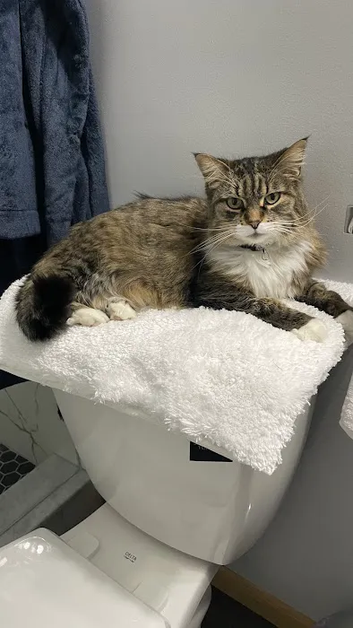 Troy & Heights Animal Hospital 9