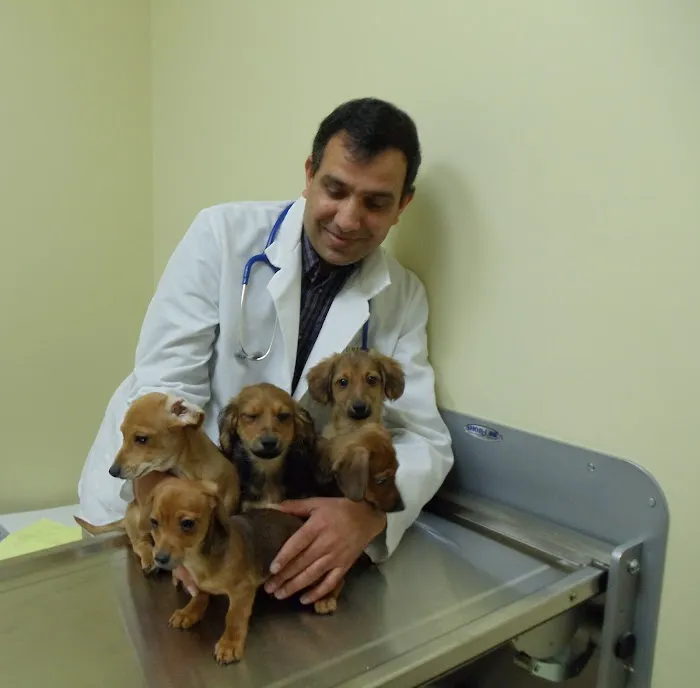 Troy & Heights Animal Hospital 7