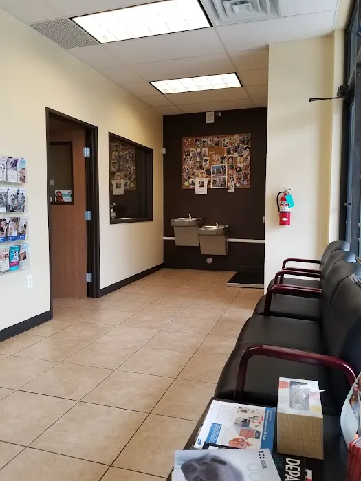 Troy & Heights Animal Hospital 10