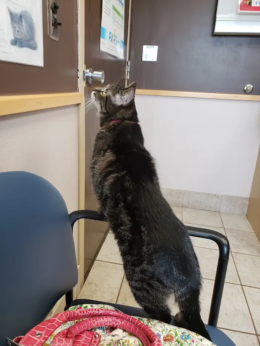 Troy Veterinary Hospital 1