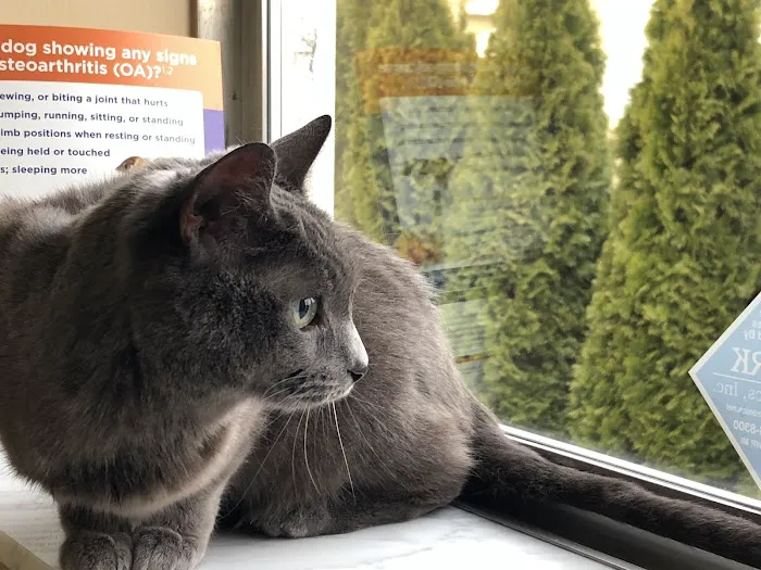 Troy Veterinary Hospital 3