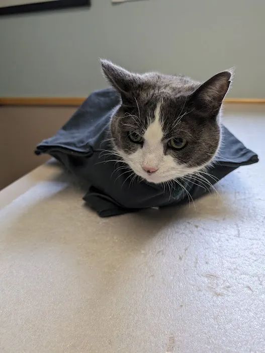 Troy Veterinary Hospital 5