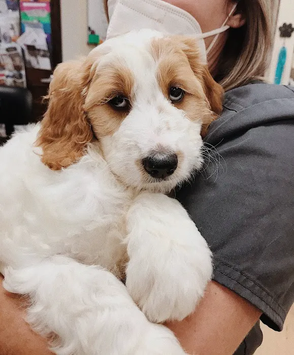 Oakland Hills Veterinary Hospital 8