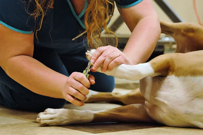 Oakland Hills Veterinary Hospital 5