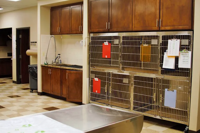 Oakland Hills Veterinary Hospital 9