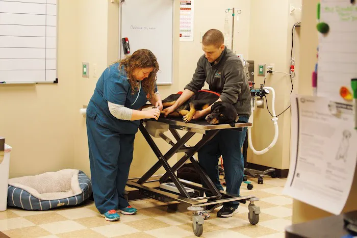 Oakland Hills Veterinary Hospital 7