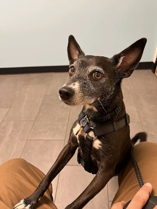Banfield Pet Hospital 7