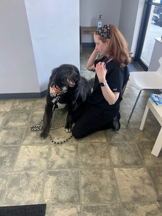 Animal Wellness Clinic of Troy 5