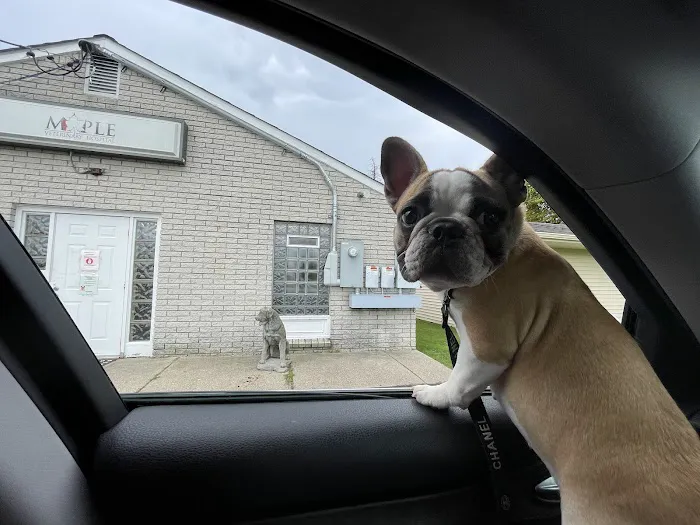 Maple Veterinary Hospital 1
