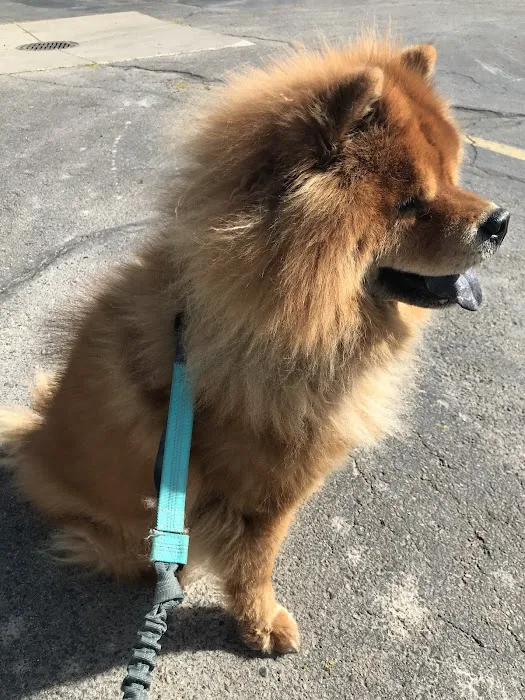 Maple Veterinary Hospital 6