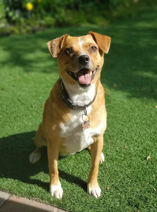 Vetco Total Care Animal Hospital 5