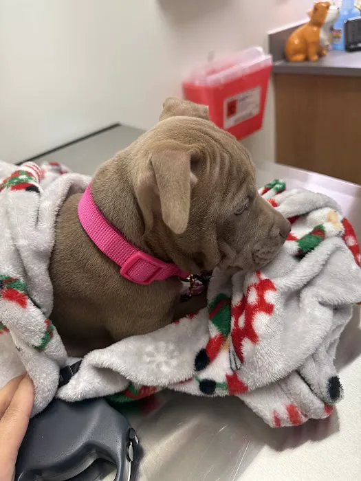 Vetco Total Care Animal Hospital 10