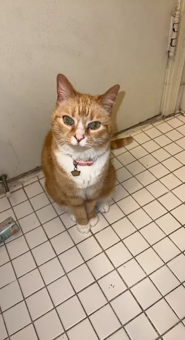 Parkview Animal Hospital 4