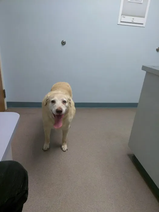 Parkview Animal Hospital 6