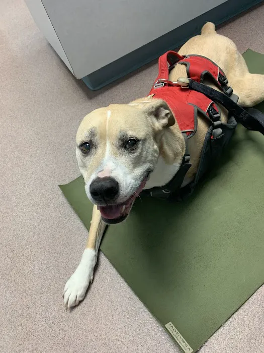 Parkview Animal Hospital 5