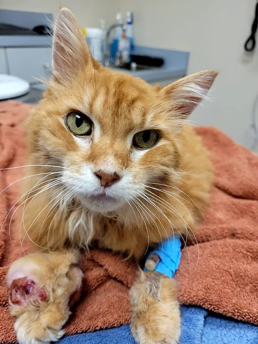 Parkview Animal Hospital 9