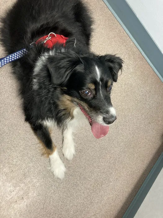 Parkview Animal Hospital 8