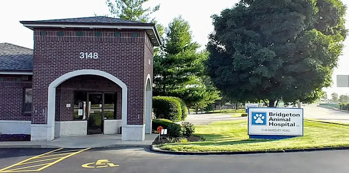 Bridgeton Animal Hospital 12