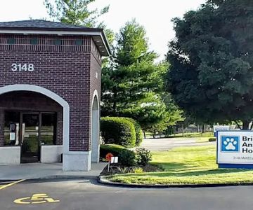 Bridgeton Animal Hospital
