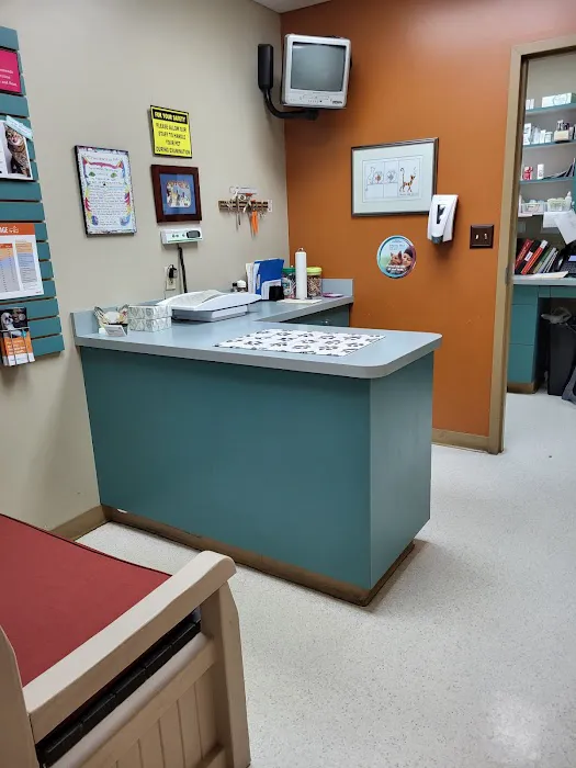 Bridgeton Animal Hospital 12