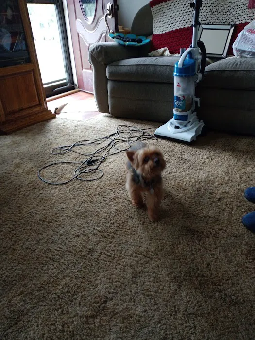 Bridgeton Animal Hospital 12