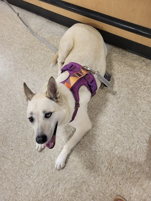 Banfield Pet Hospital 12