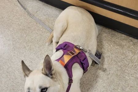Banfield Pet Hospital