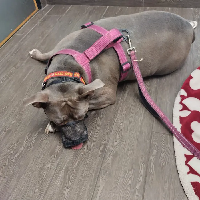 Banfield Pet Hospital 12