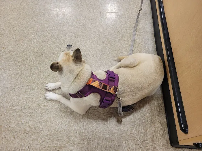 Banfield Pet Hospital 12