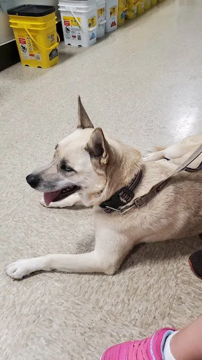 Banfield Pet Hospital 12