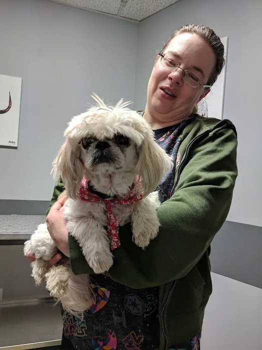 Associated Veterinary Specialists 12