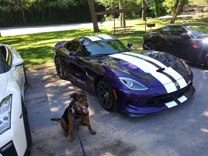 Rock Road Animal Hospital: Stroud Paige DVM 12