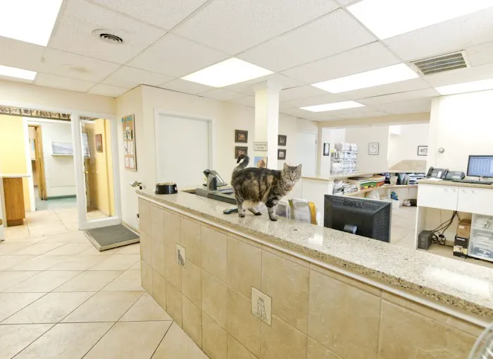 Rock Road Animal Hospital 12