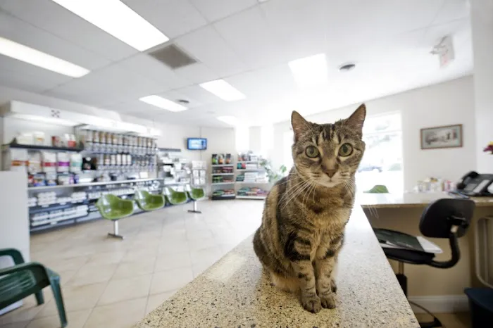 Rock Road Animal Hospital 12
