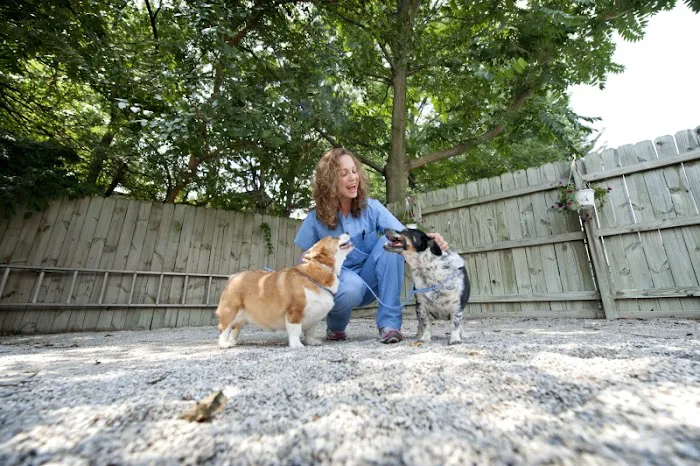 Rock Road Animal Hospital 12