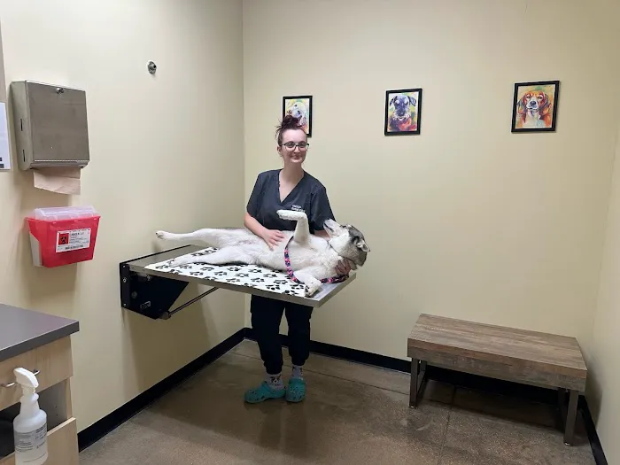 Vetco Total Care Animal Hospital 12