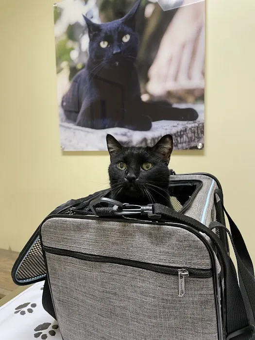 Vetco Total Care Animal Hospital 12