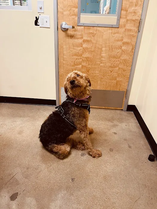 Vetco Total Care Animal Hospital 12