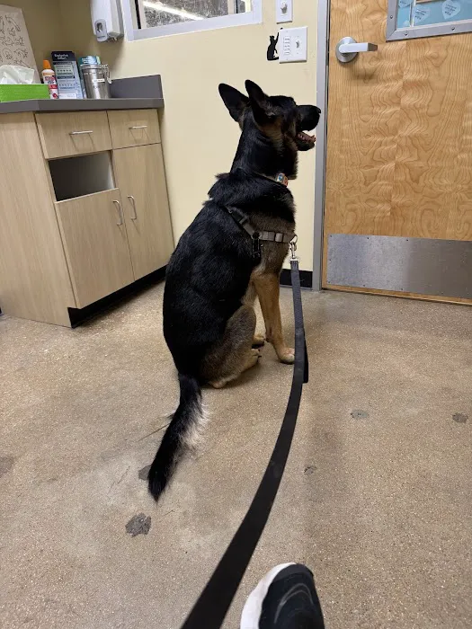 Vetco Total Care Animal Hospital 12