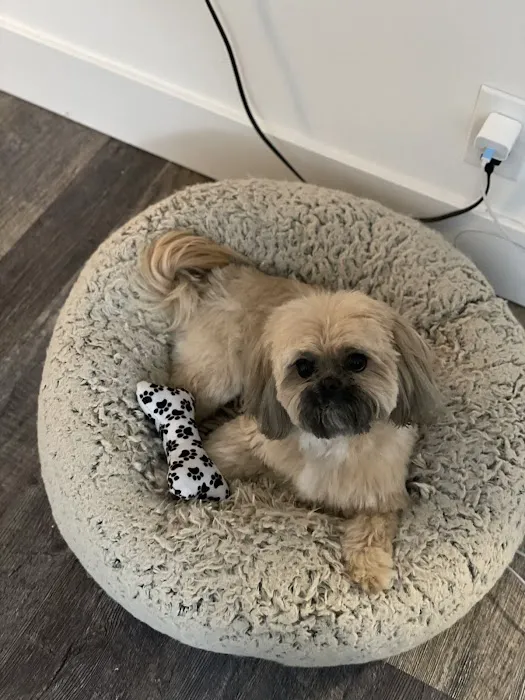 Banfield Pet Hospital 12