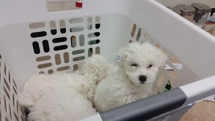 Banfield Pet Hospital 12