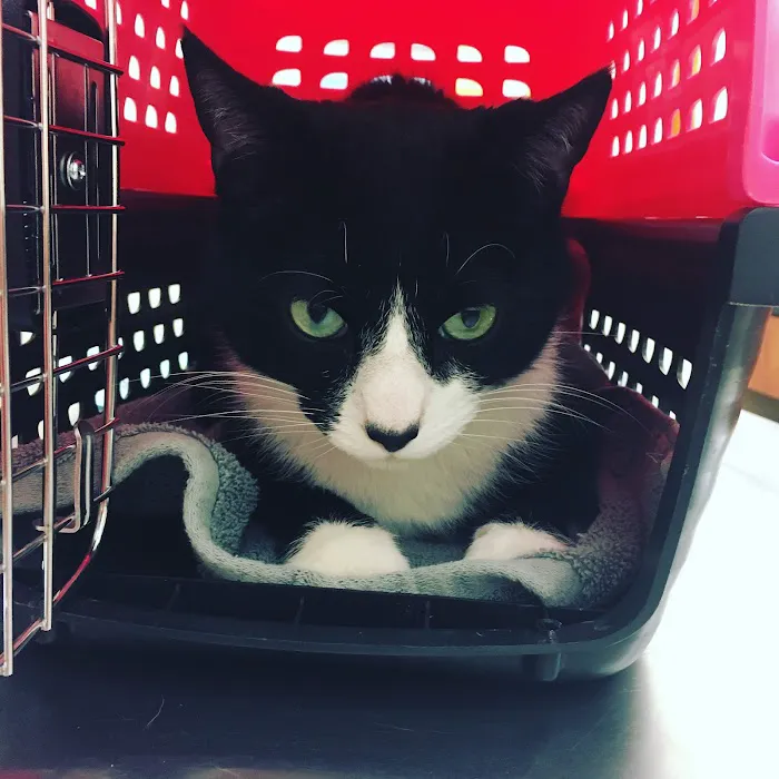 Banfield Pet Hospital 12