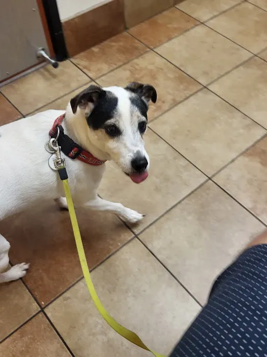 Banfield Pet Hospital 12