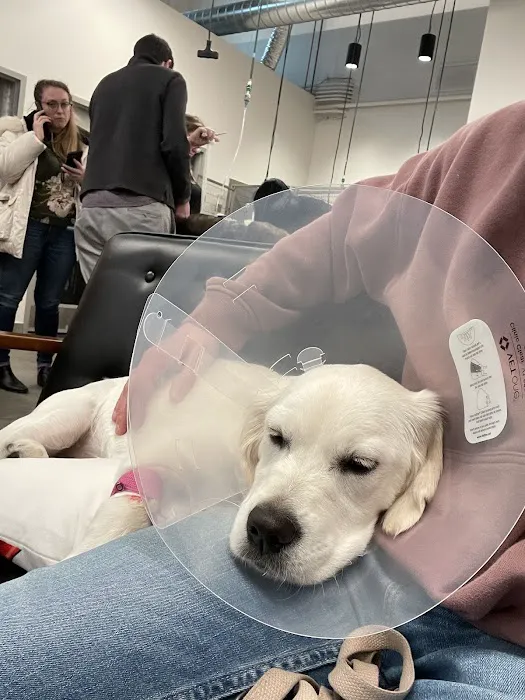 Veterinary Emergency Group 12