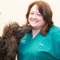 Back on Track Veterinary Hospital & Rehabilitation Center ico