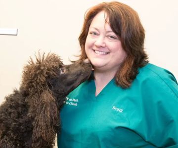 Back on Track Veterinary Hospital & Rehabilitation Center