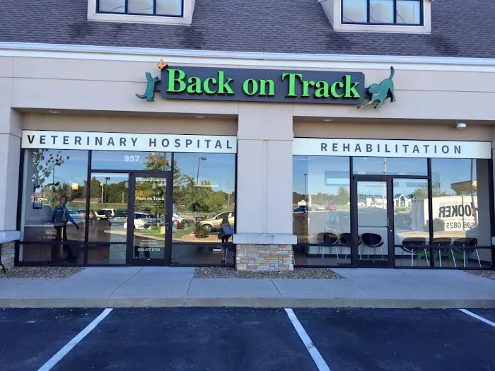 Back on Track Veterinary Hospital & Rehabilitation Center 12