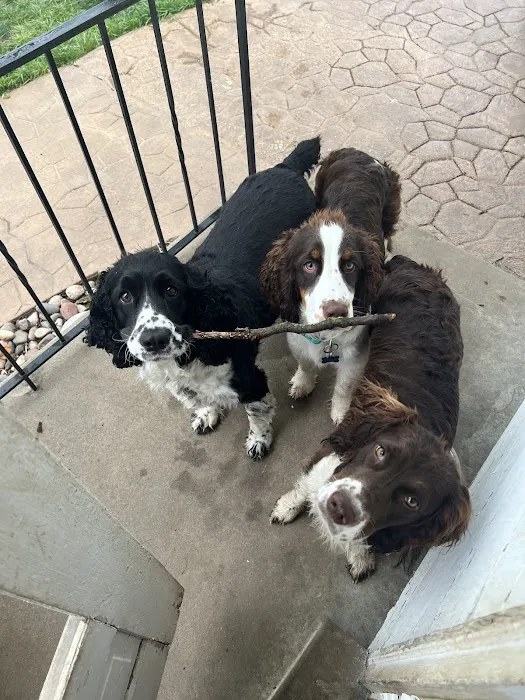 O'Fallon Animal Hospital 12