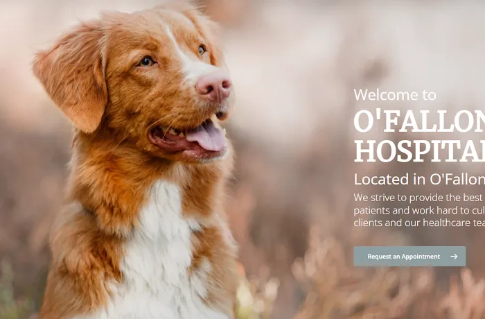 O'Fallon Animal Hospital 12