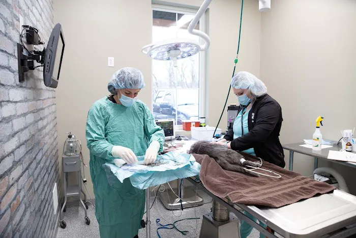 The Pet Doctor - Cottleville 7